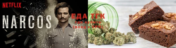 стаф Осинники
