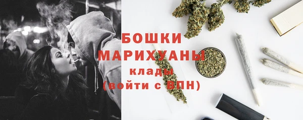 стаф Осинники