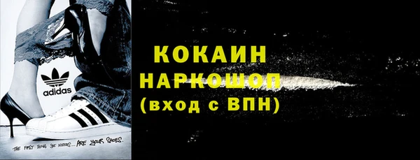 стаф Осинники