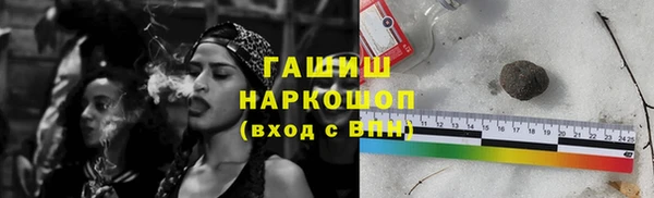 стаф Осинники