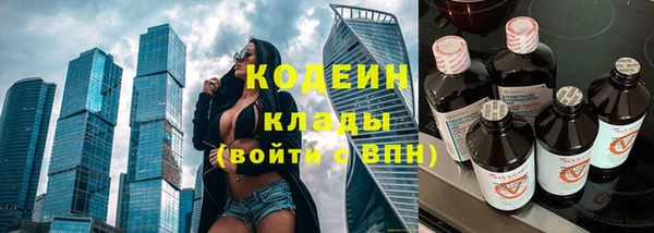 стаф Осинники