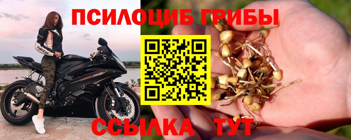 Галлюциногенные грибы мухоморы Бахчисарай